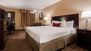 Best Western of Alexandria Inn & Suites & Conference Center - Chambre