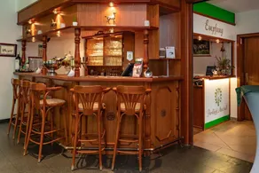Parkhotel Neustadt Garni - Receção