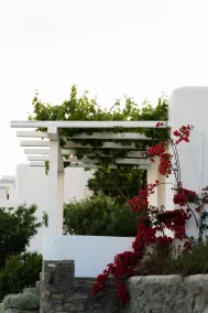 Rhenia Mykonos Hotel & Bungalows - Rom