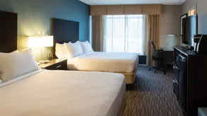 Holiday Inn St. Paul Downtown by IHG - Chambre