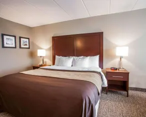 Quality Inn & Suites Orland Park - Chicago - Chambre