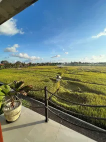 Canggu Hype - View from room