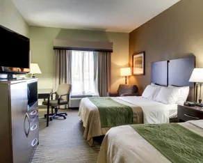 Comfort Inn Pearl-Jackson - Chambre
