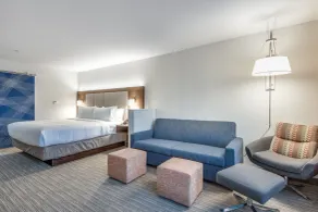 Holiday Inn Express & Suites Dallas North - Addison by IHG - Chambre