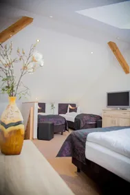 Landhotel zum Baggernpuhl - Room
