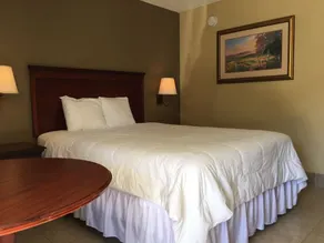 Murphy Motel - Værelse