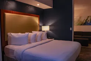SpringHill Suites by Marriott Baton Rouge North / Airport - Chambre