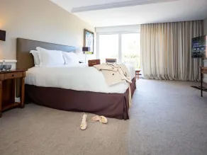 Sofitel Strasbourg Grande Ile - Utsikt fra rommet
