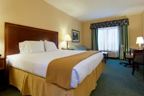 Holiday Inn Express & Suites San Antonio South by IHG - Chambre