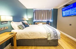 Dolphin Rooms - Habitación