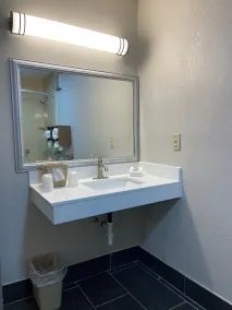 Red Roof Inn LaGrange - Badrum