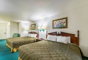 Rodeway Inn Decatur - Chambre