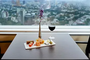 Hyatt Regency Mexico City - View from room