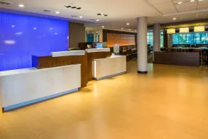 Fairfield Inn & Suites by Marriott Wisconsin Dells - Réception