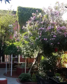 Kervansaray Canakkale Hotel - Special Category - View from room