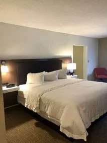 Hampton Inn McHenry - Chambre