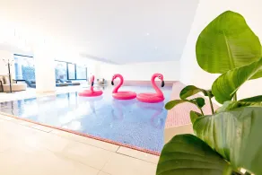 The Flamingo - Piscine