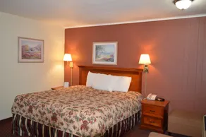 Economy Inn - Room