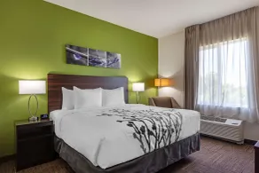 Sleep Inn & Suites Tampa South - Habitación