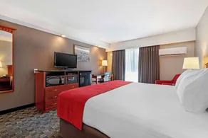 Best Western Northgate - Chambre