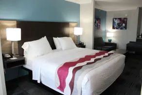 Best Western Medical Center North Inn & Suites Near Six Flags - Room
