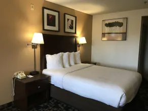 MorningGlory Inn & Suites - Chambre