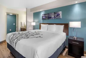 Sleep Inn Clearwater-St Petersburg - Chambre
