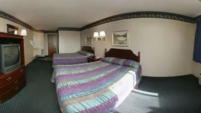 Econo Inn and suites - Room