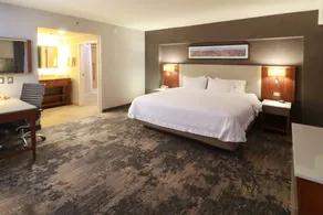 Hampton by Hilton Chihuahua - Chambre