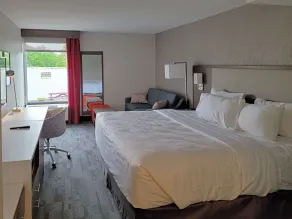 Comfort Inn & Suites Wyomissing-Reading - Chambre