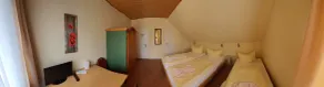 Hotel Winzerhaus Urbar - Zimmer