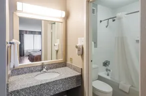 Quality Inn Roanoke Airport - Salle de bain