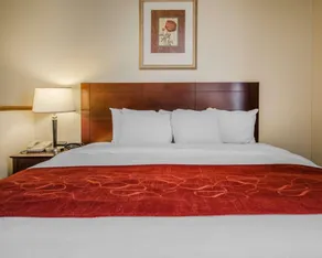 Quality Suites Jeffersonville - Louisville North - Chambre