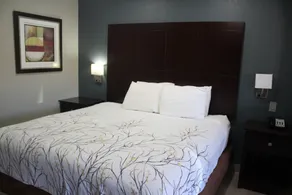 Cotulla Executive Inn - Chambre