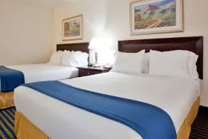 Holiday Inn Express & Suites Chesapeake by IHG - Chambre
