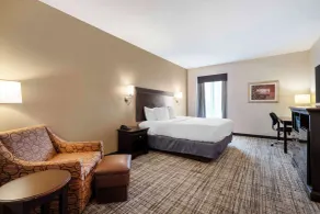 Best Western Plus Greenville South - Chambre