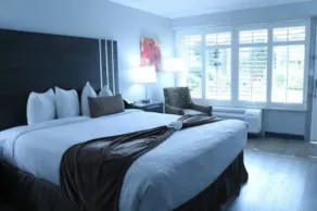 Palm Garden Hotel - Chambre