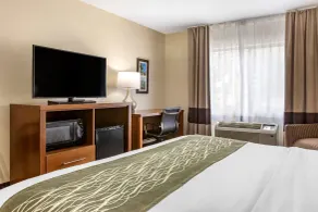 Comfort Inn Okemos - East Lansing - Chambre