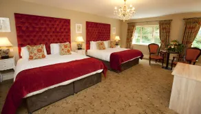 Ballyseede Castle - Habitación