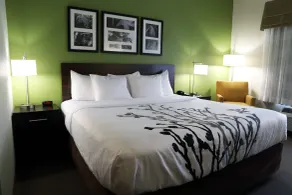 Sleep Inn & Suites Belmont - St. Clairsville - Chambre