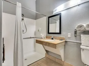Platinum Inn & Suites Webster - Salle de bain