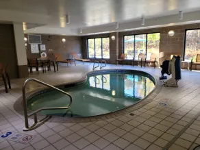Courtyard Binghamton - Piscine
