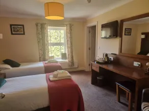 Usk And Railway Inn - Chambre