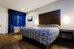 Palace Inn Blue US-59 & Gessner - Room