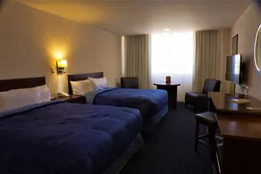Hotel Real Plaza Aguascalientes - Room
