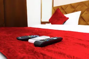 Hotel Silver Saffron Paschim Vihar New Delhi - Room