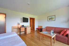 Rothenfels Panorama Hotel - Room