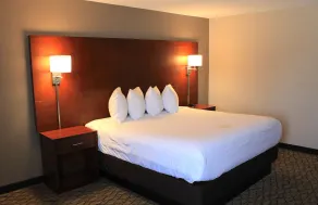Wyndham Garden Fort Wayne - Chambre