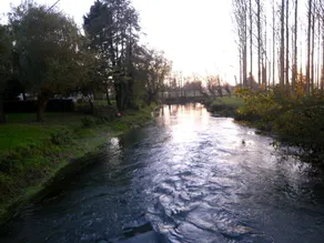 La Ferme De Tigny - Piscine