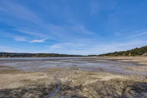Private Beach Access! Group-friendly Getaway! - Interiør